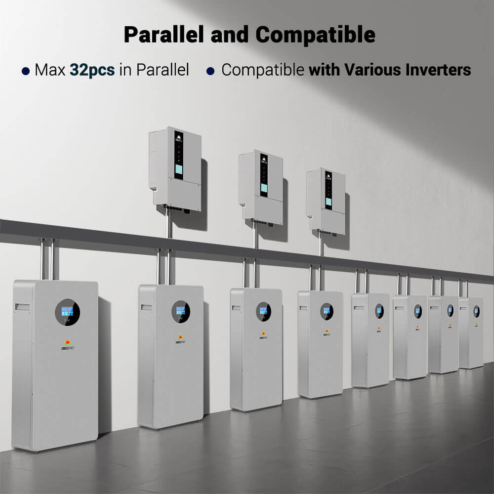 SunGoldPower 10kWh Lithium Battery Powerwall 51.2V 200AH