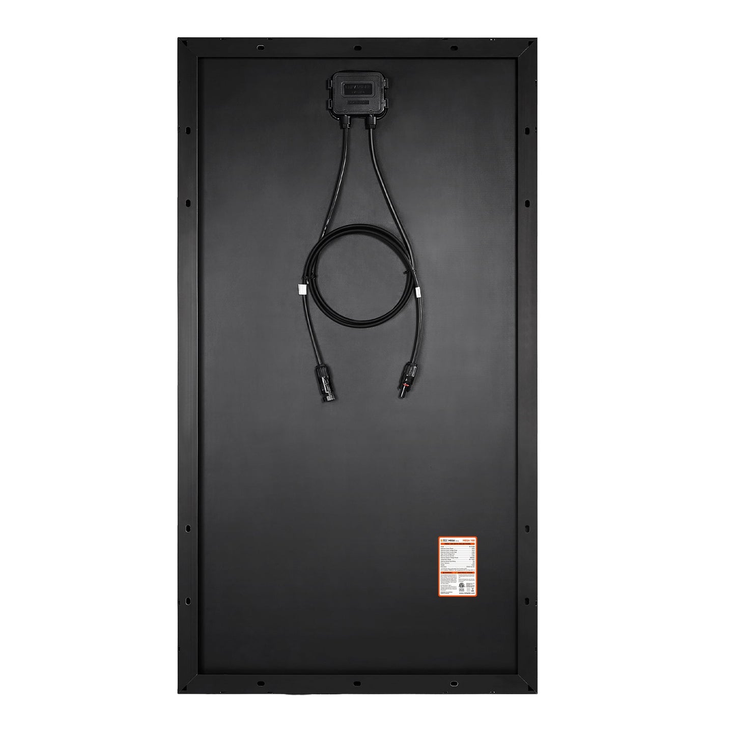 Rich Solar 2 Pack 100 Watt UL Certified Solar Panel Kit