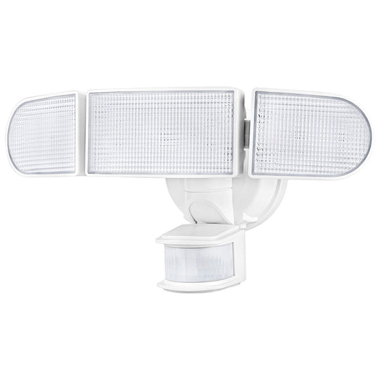 Rich Solar 1600 Lumen Round Solar Motion Security Light