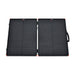 Rich Solar 100 Watt Portable Solar Panel Briefcase Kit